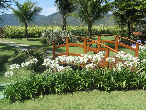 Buquet de flores naturais em Santos SP